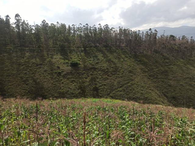 #51 - Área para Venta en Pedro Moncayo - P
