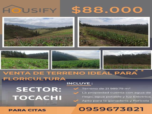 #51 - Área para Venta en Pedro Moncayo - P